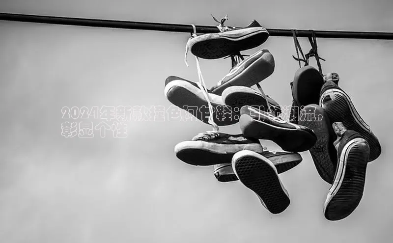 Bsport网页版百度数据开放平台2024年新款撞色阿甘鞋：引领潮流，
彰显个性