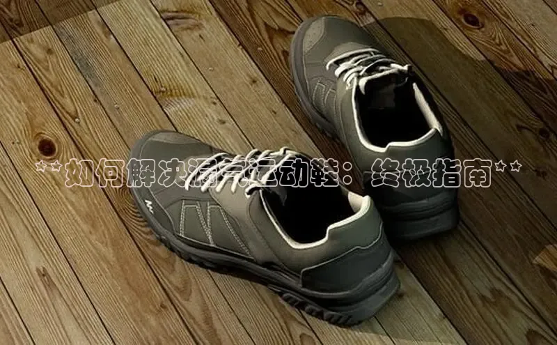 b体育下载入口app百度学术**如何解决漏气运动鞋：终极指南**