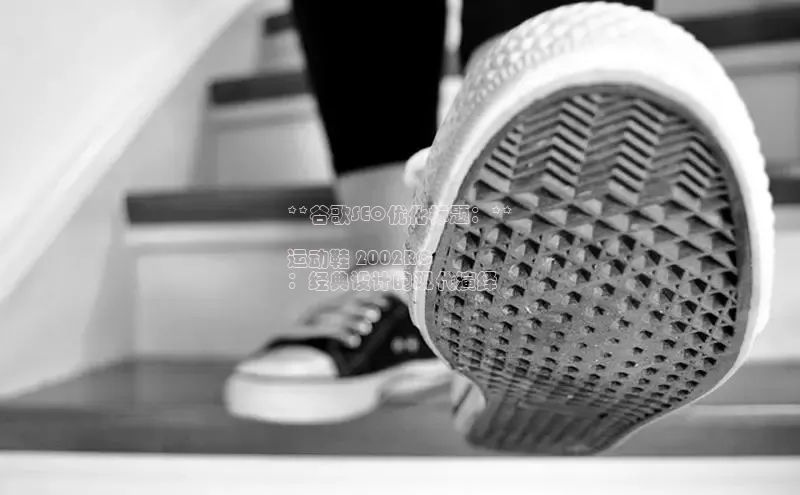 bsports网页版登录官方入口雷柏科技**谷歌SEO优化标题：**

运动鞋 2002RC
：经典设计的现代演绎