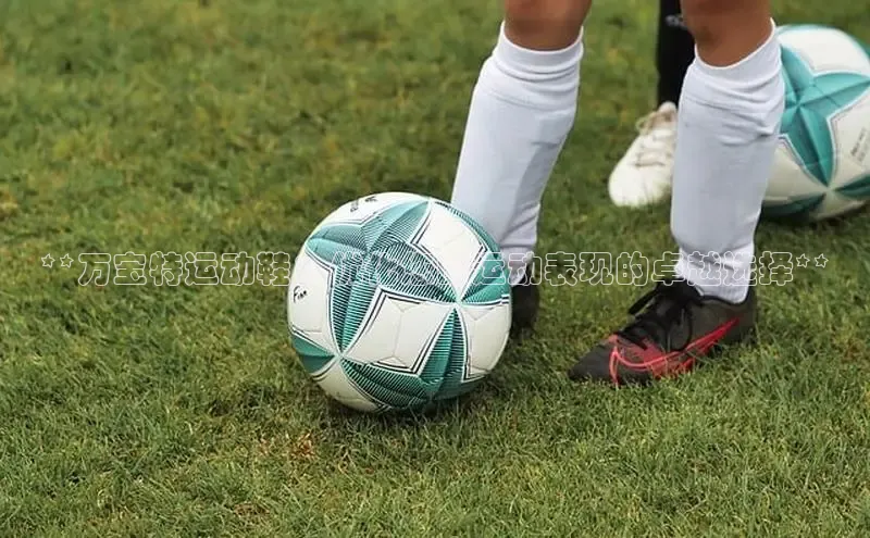 必一体育网页入口度小满理财**万宝特运动鞋：优化您的运动表现的卓越选择**