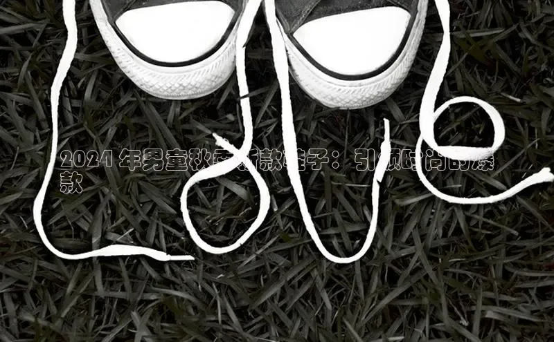 B体育手机版下载app百度Apollo2024 年男童秋季新款鞋子：引领时尚的爆
款