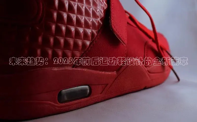 B·体育APP登录入口