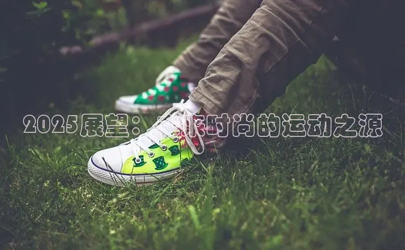 B·体育APP登录入口