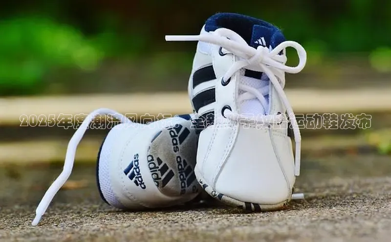 b体育必一运动官网