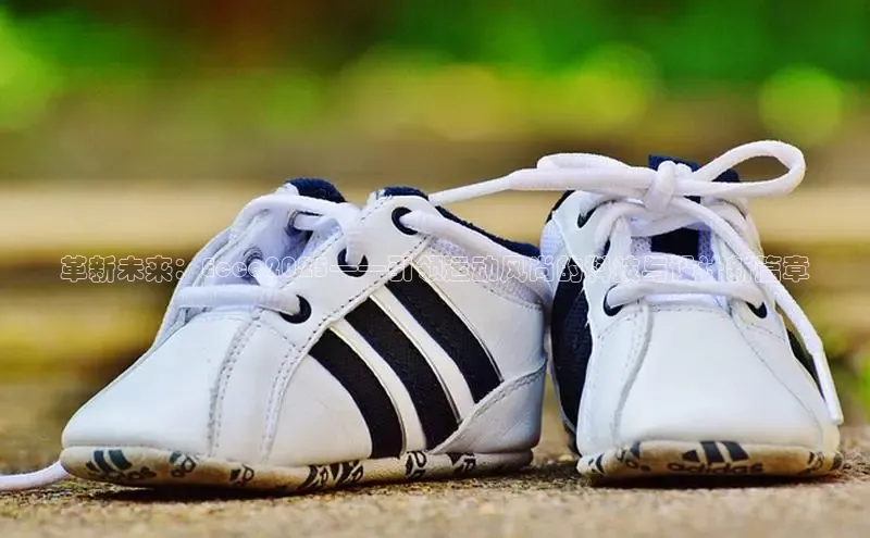 b体育官方体育app下载安卓