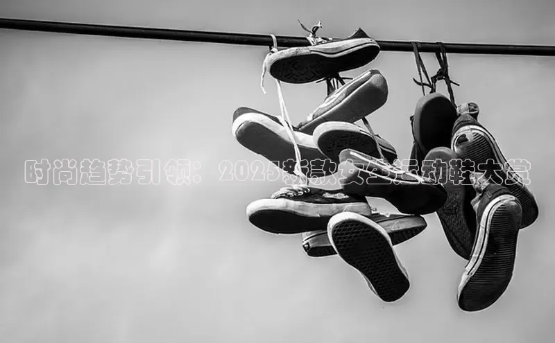 b体育官方网页版