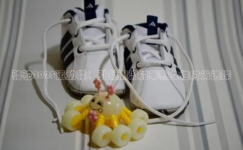 B体育网页版在线登录官网