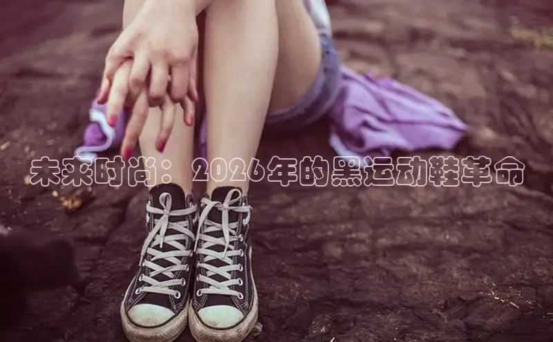 B体育网页登录版